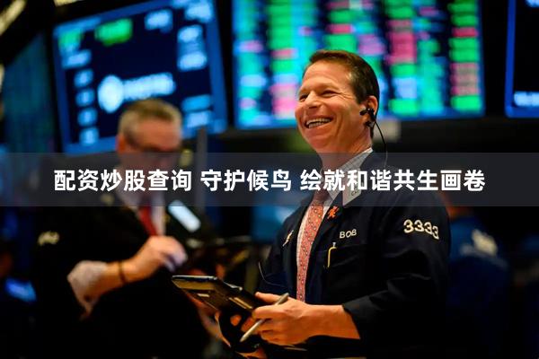 配资炒股查询 守护候鸟 绘就和谐共生画卷